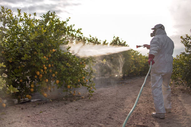Best Best Pest Control Companies  in Glenn Dale, MD